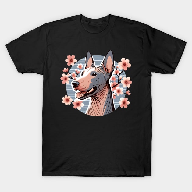 American Hairless Terrier Blooms with Spring Cherry Blossoms T-Shirt by ArtRUs